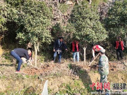 图为团队成员移植桂花树。 yl6809永利官网建筑工程学院供图