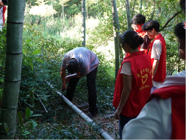 1722132338231961.png image.png